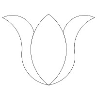 twirling tulips single